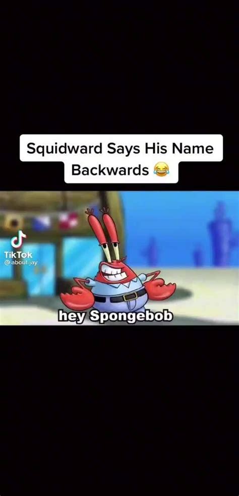 is squidward a squid or an octopus|squidward says his name backwards.